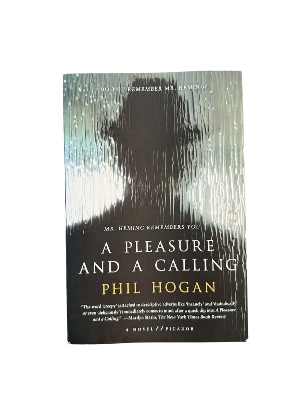 3/$15 📚📖 A Pleasure and a Calling by Phil Hogan